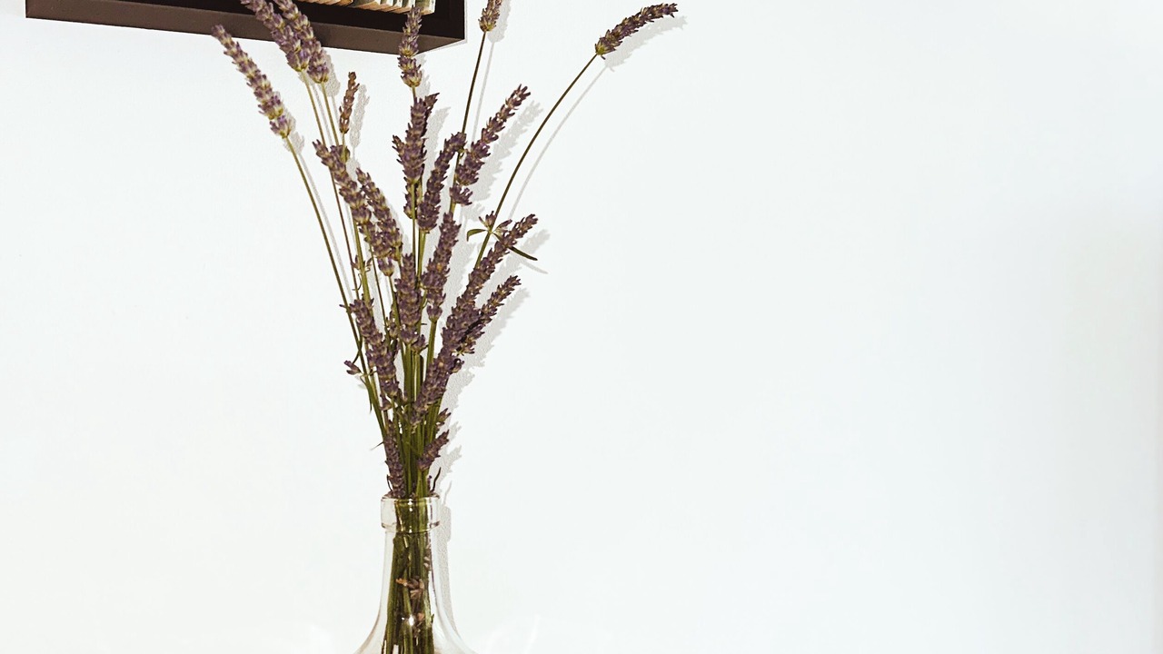 Photo of Others in Bargemon