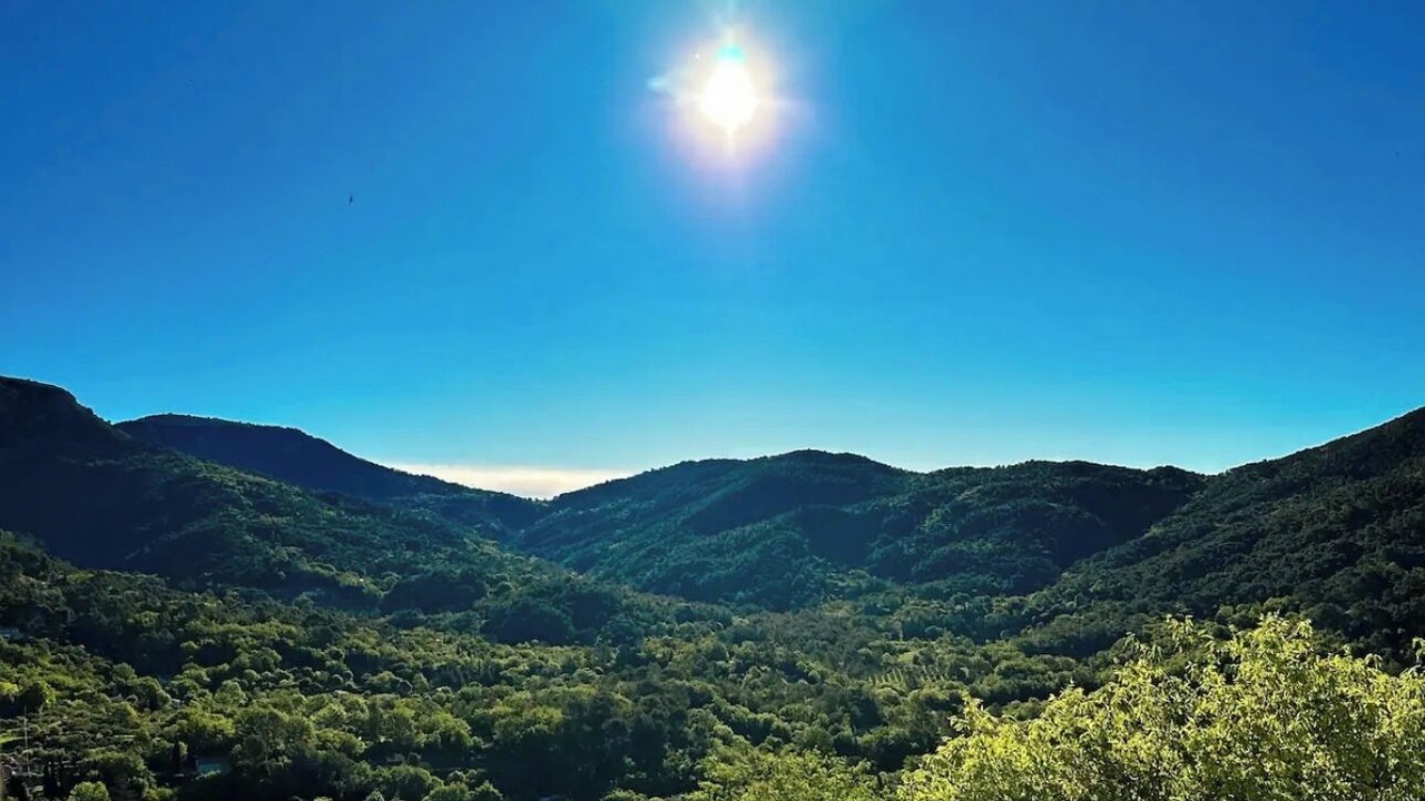 Photo of Others in Bargemon