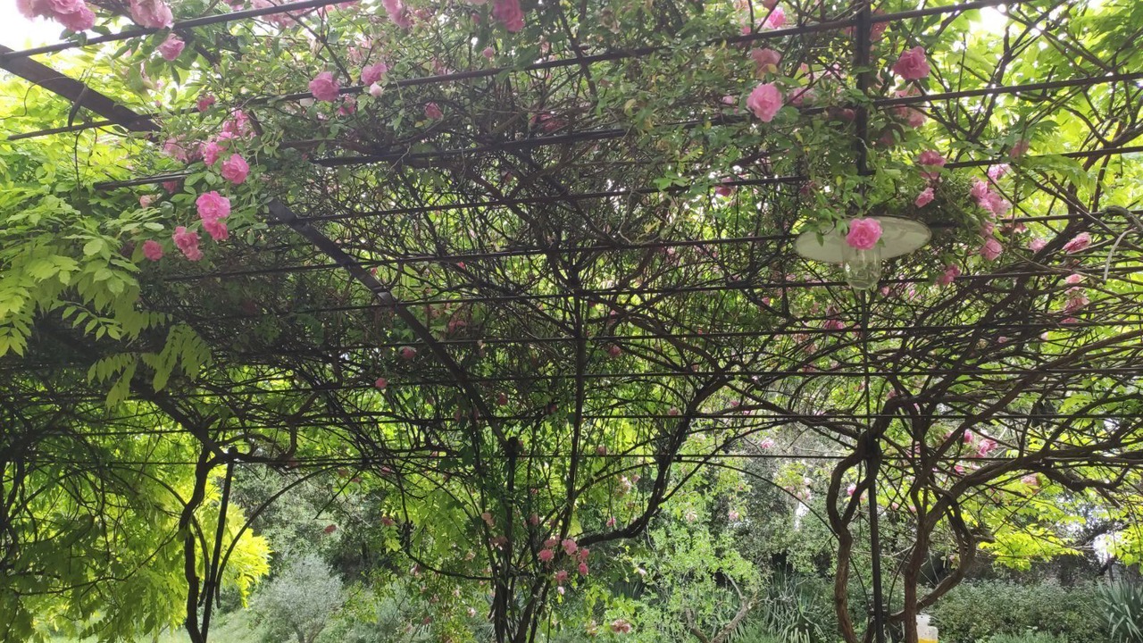 Photo of Outdoor in Villeneuve-les-Avignon