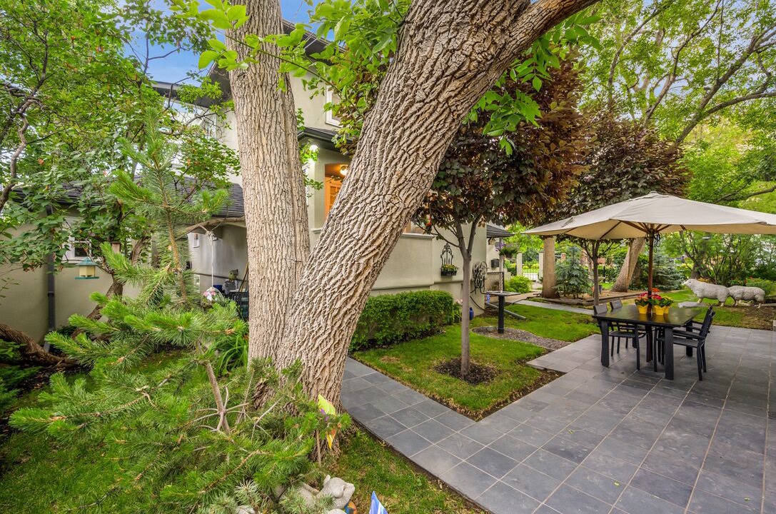 Photo of Outdoor in Mount Royal