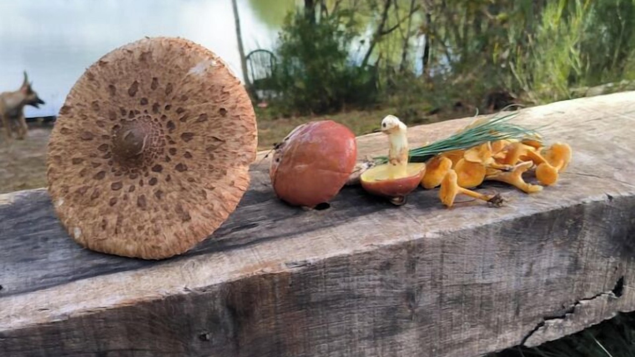 Photo of Outdoor in Vignoux-sur-Barangeon