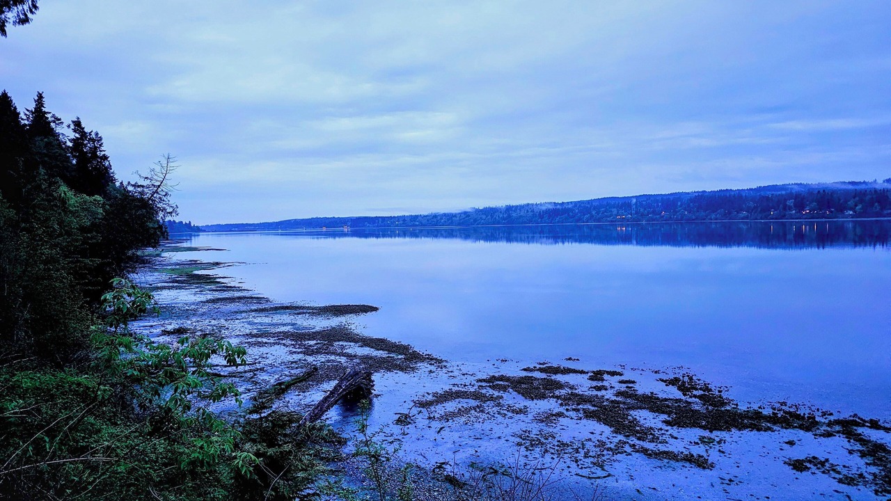 Photo of Others in Kingston