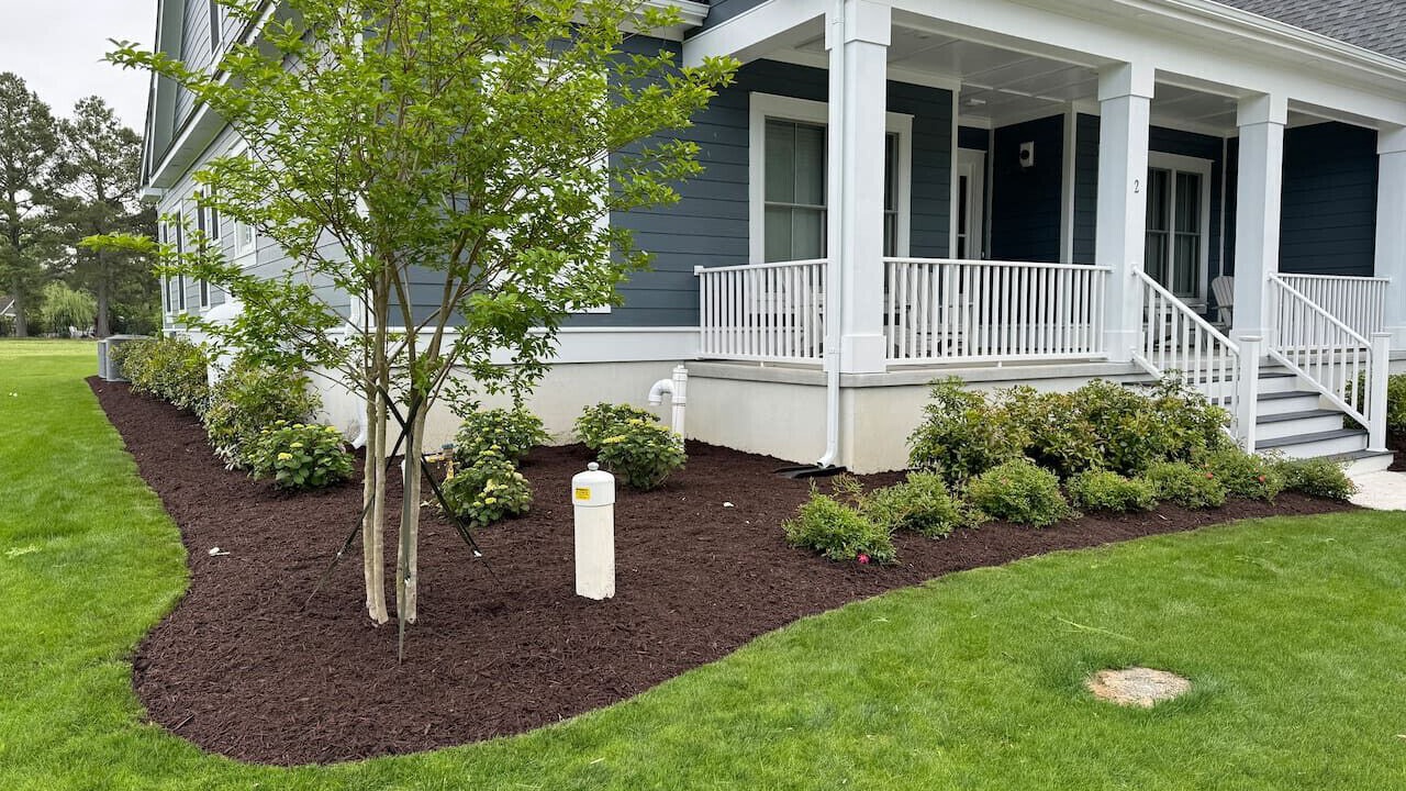 Photo of Outdoor in Cape Charles