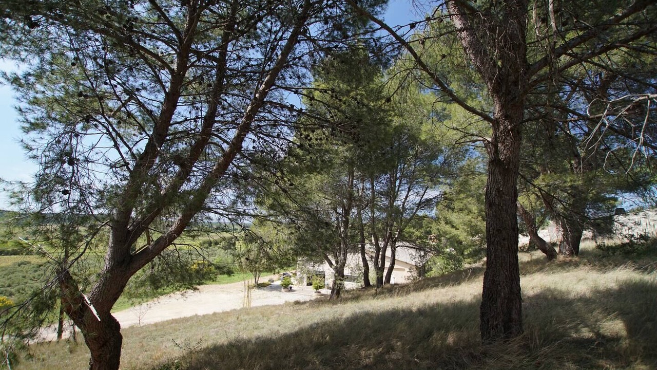 Photo of Others in Azille