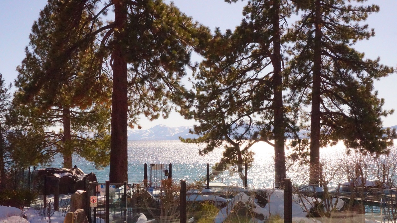 Photo of Outdoor in Tahoya Shores