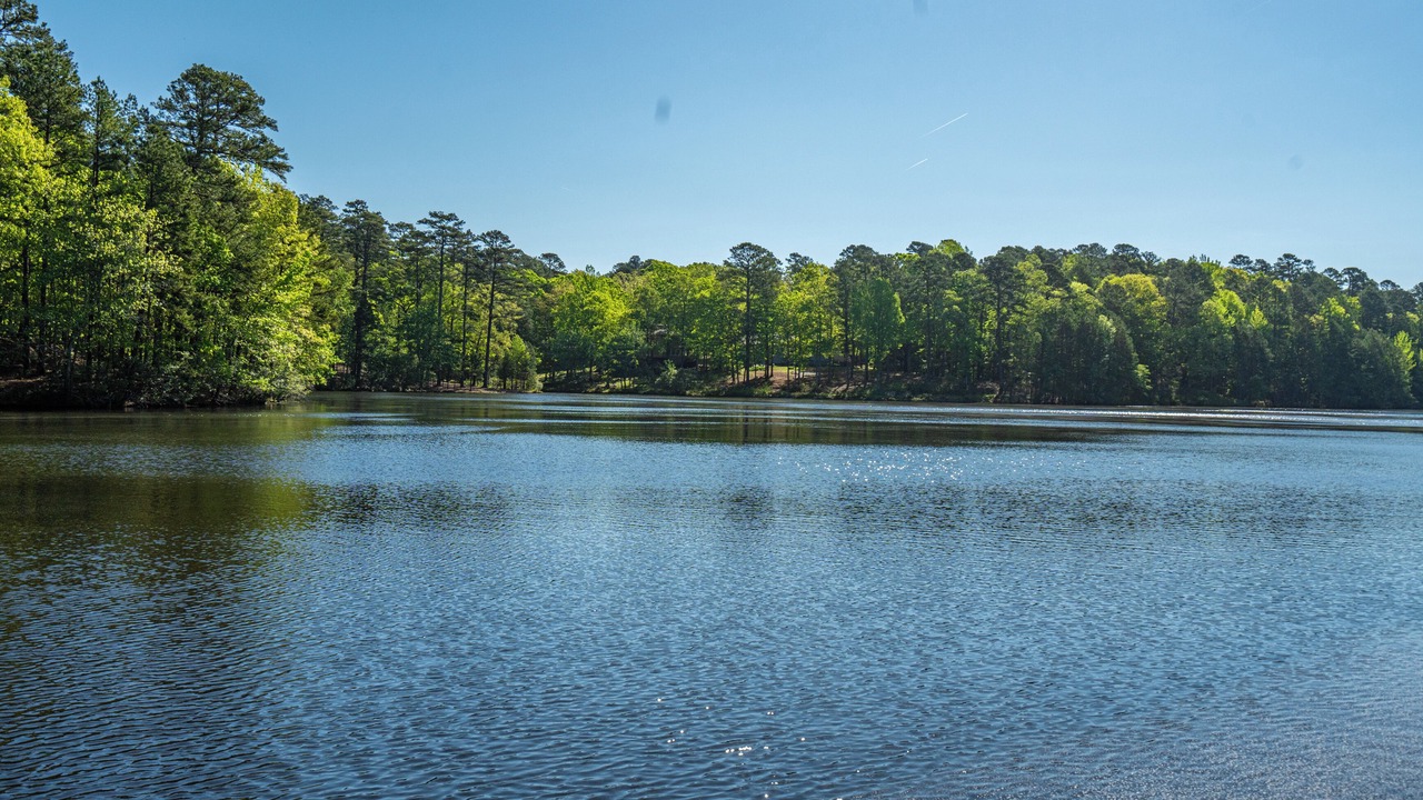 Photo of Outdoor in Hot Springs Village