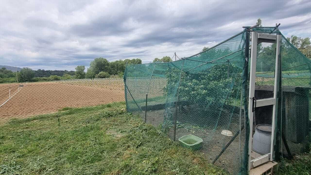 Photo of Others in Malaucene