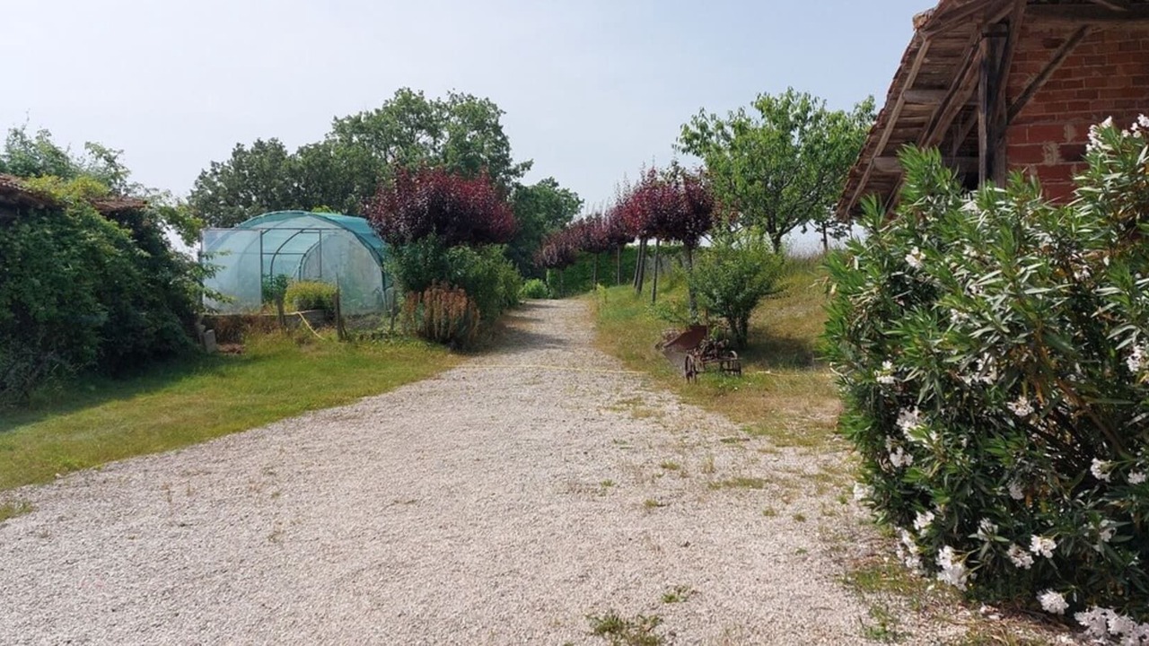 Photo of Outdoor in Monties
