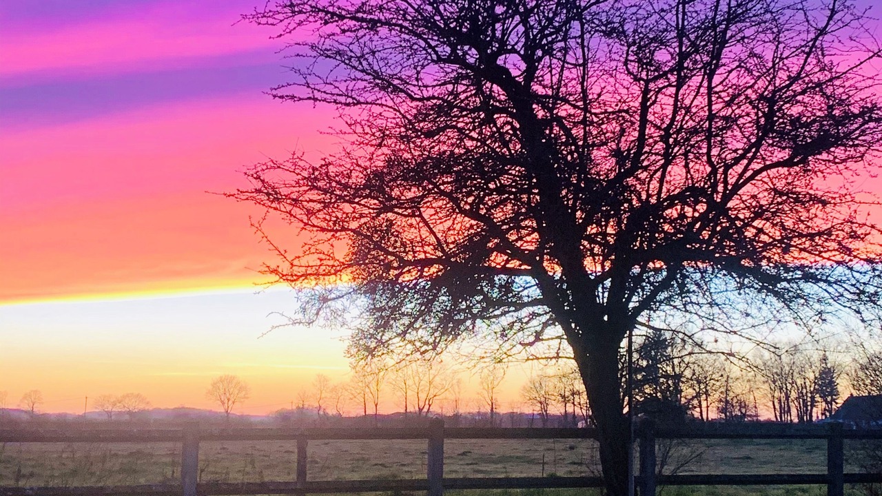 Photo of Others in Saint-Eliph