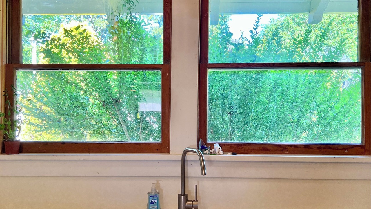 Photo of Others in Vashon Island