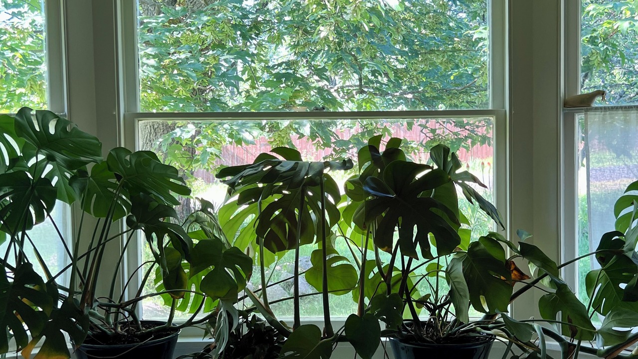 Photo of Others in Vashon Island