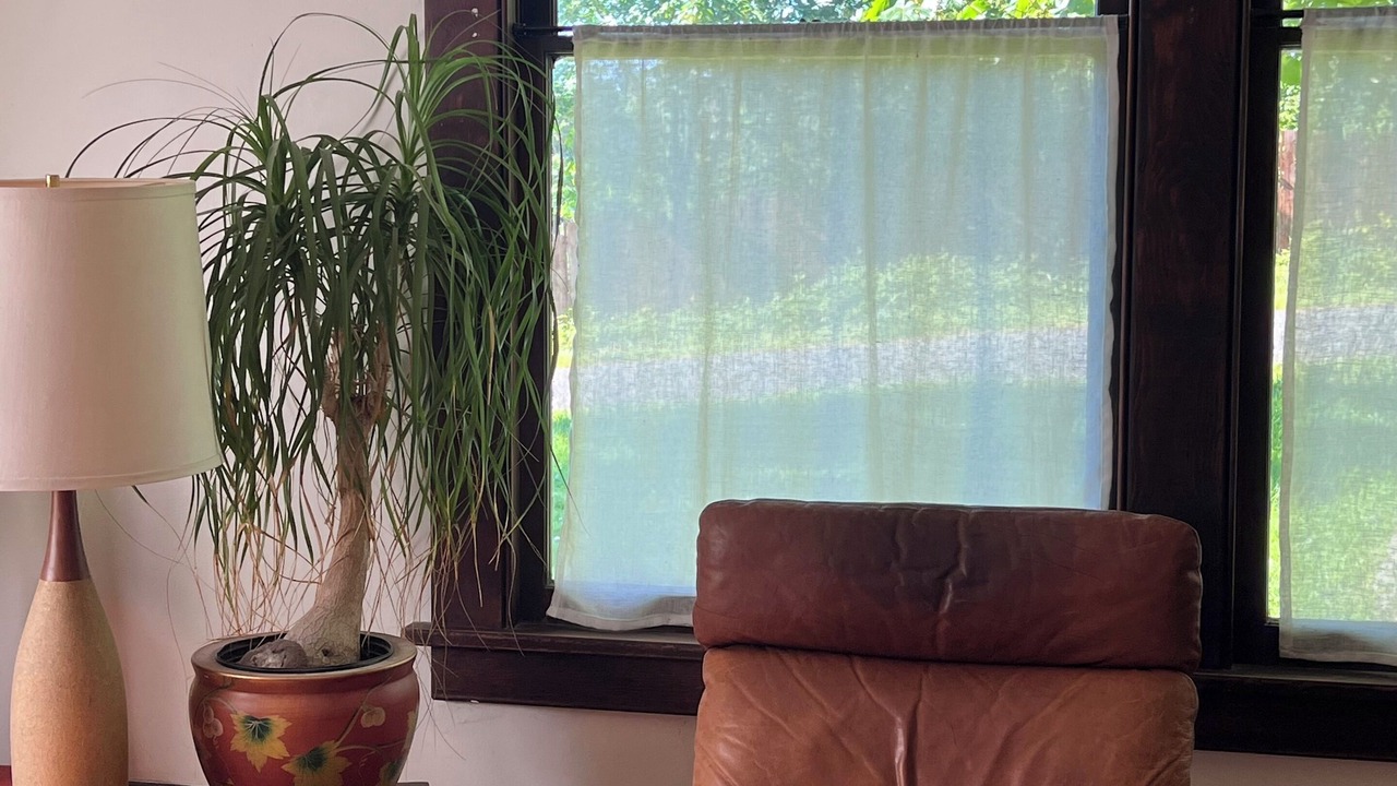 Photo of Others in Vashon Island