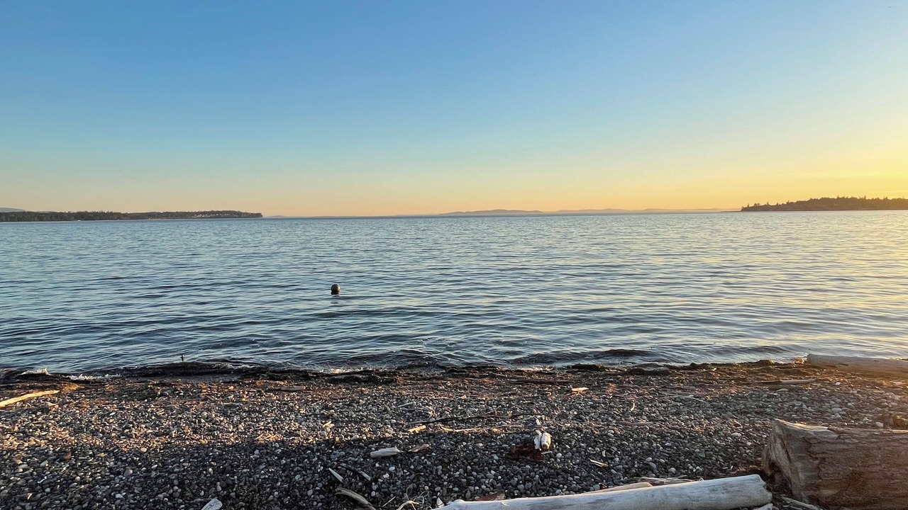 Photo of Others in Birch Bay