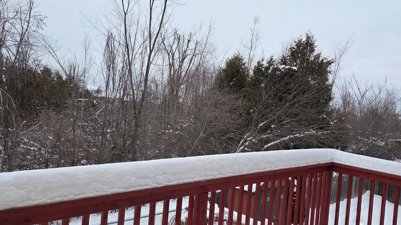 Photo of Others in Lindsay