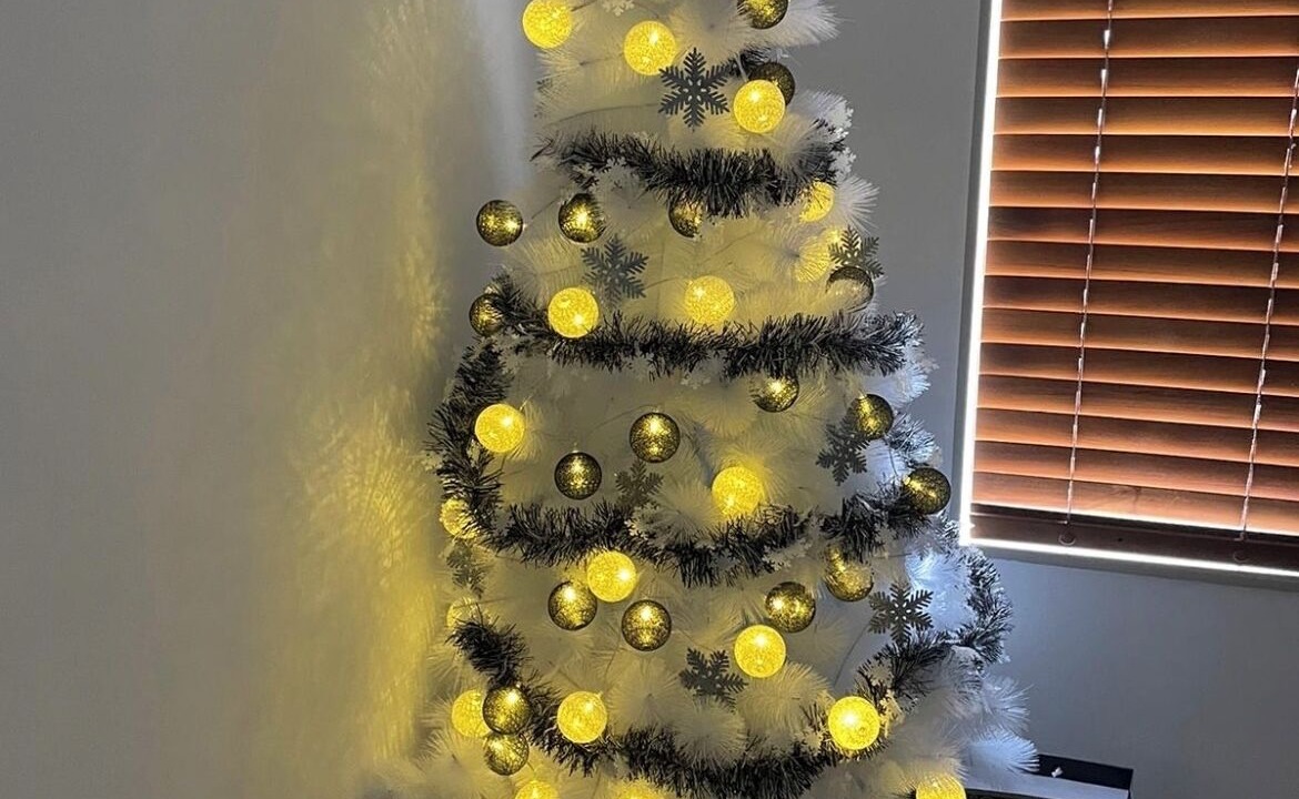 Photo of Others in Kohimarama