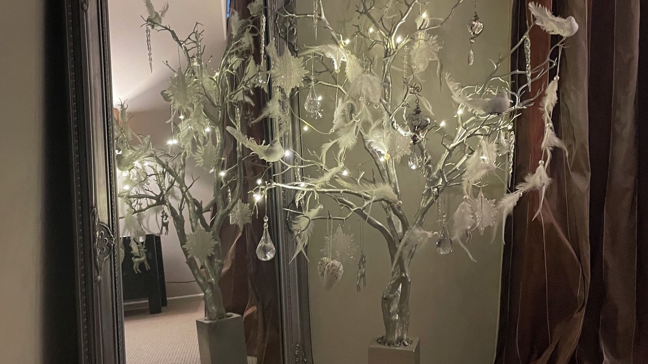 Photo of Others in Kohimarama