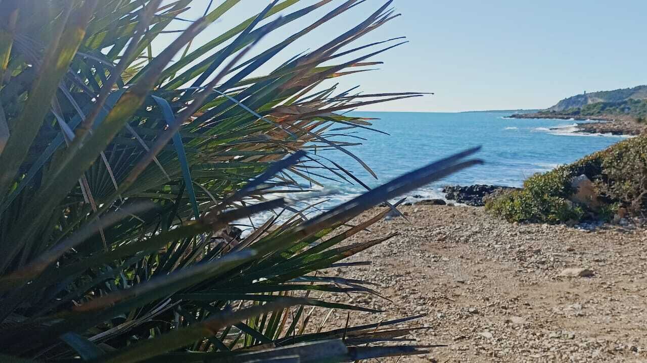 Photo of Others in Peniscola