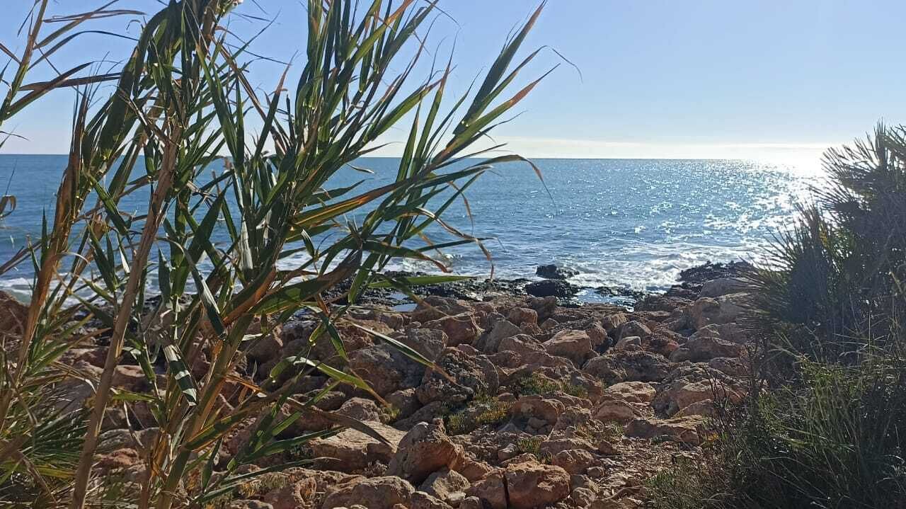 Photo of Others in Peniscola