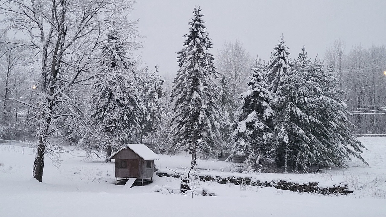Photo of Outdoor in South Colton