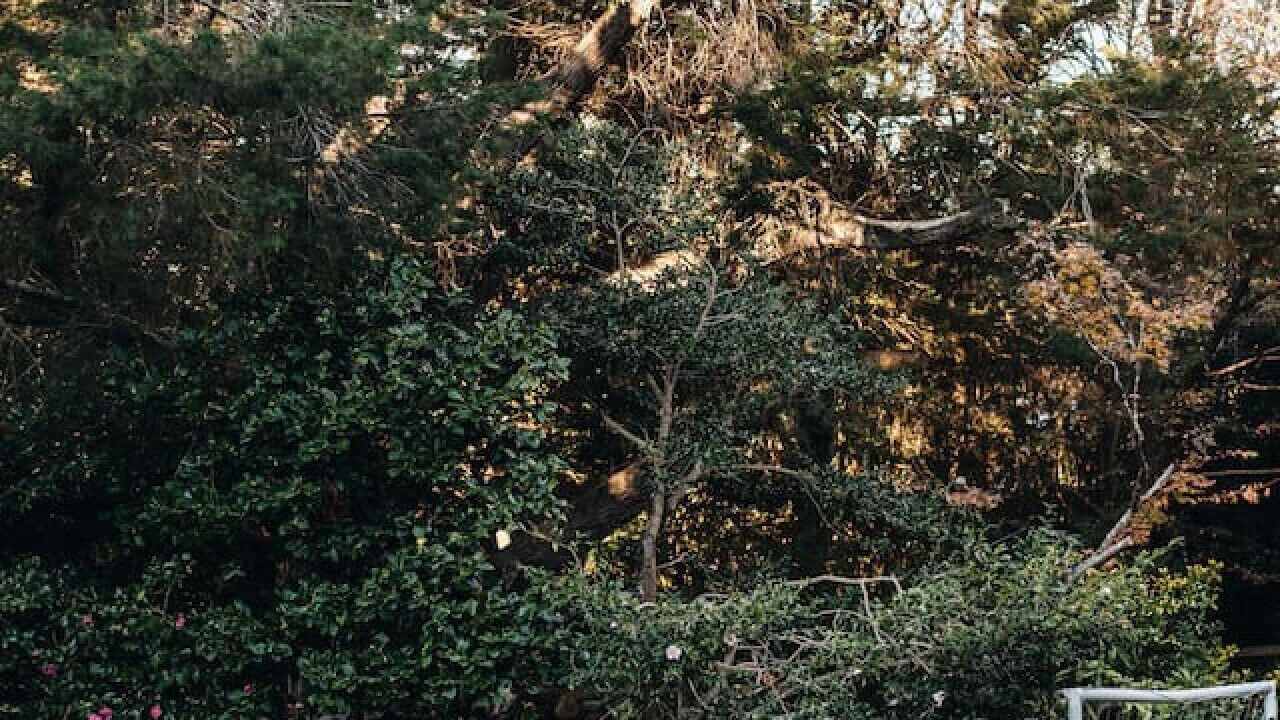 Photo of Others in Moss Vale