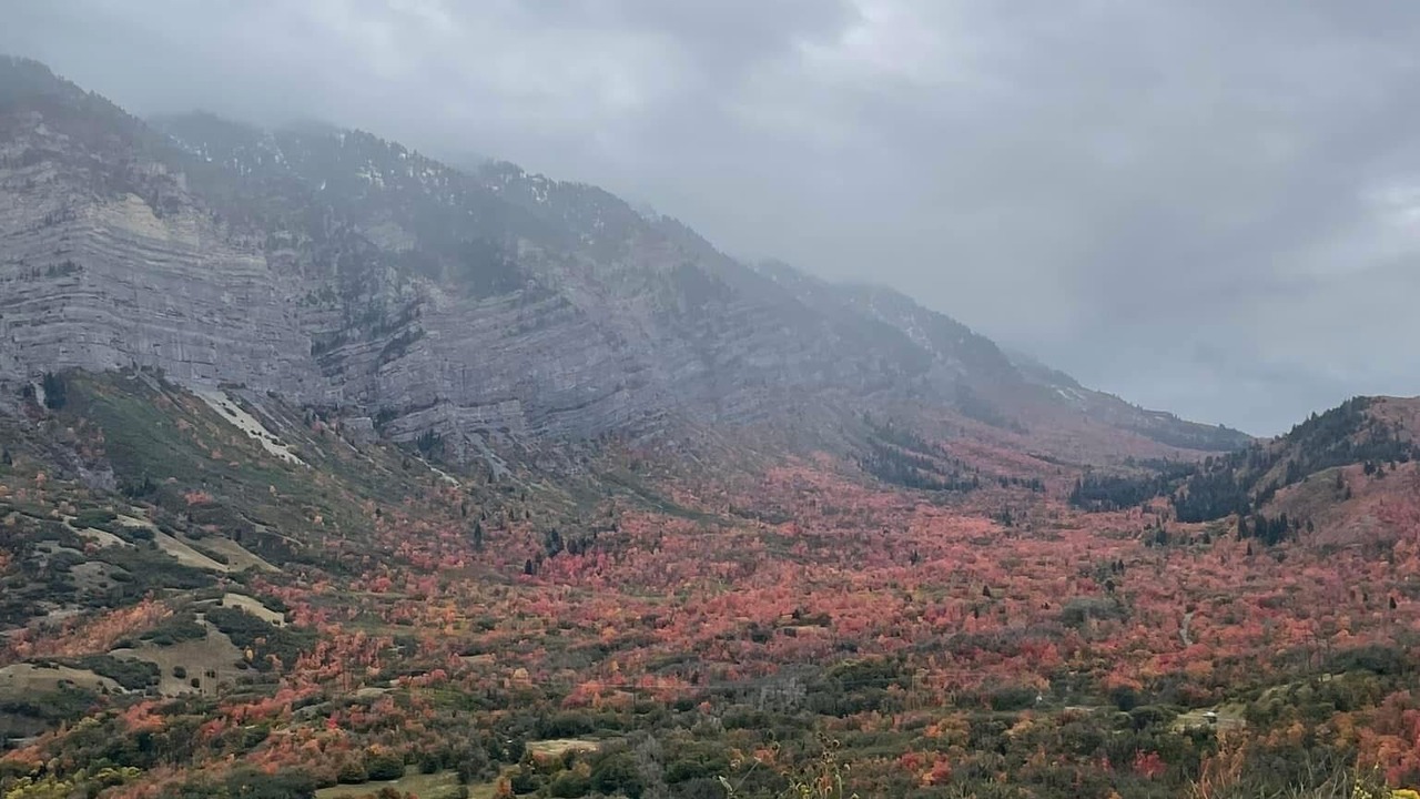 Photo of Others in Snowbird