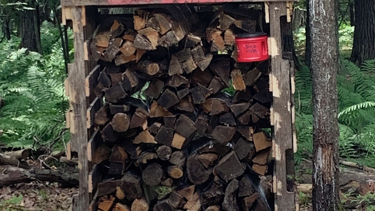 Photo of Outdoor in Grayling