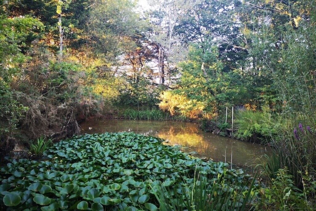 Photo of Outdoor in Saint-Lyphard