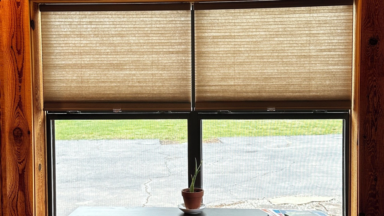 Photo of Others in Ozone