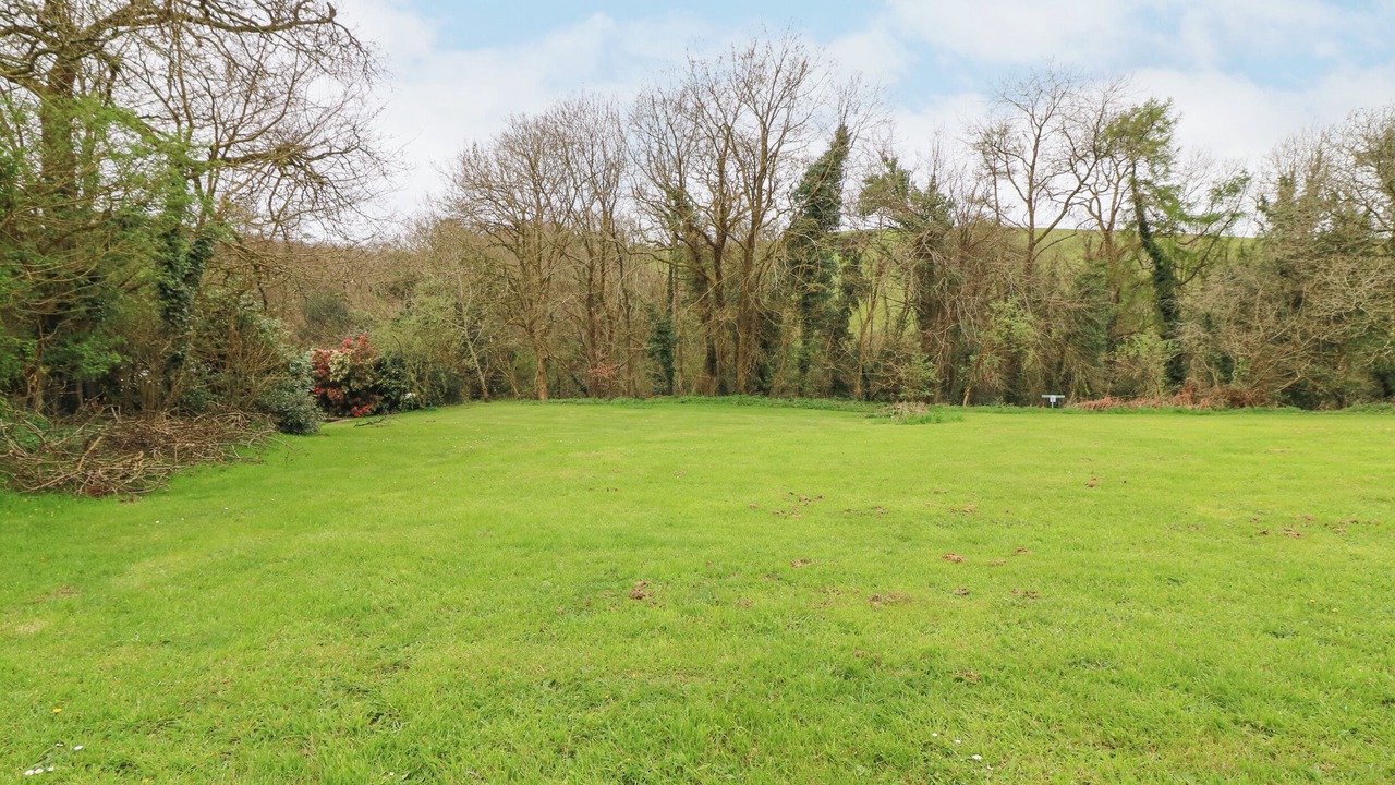 Photo of Others in Trelil