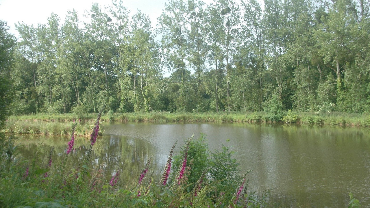 Photo of Others in Saint-Patrice-de-Claids