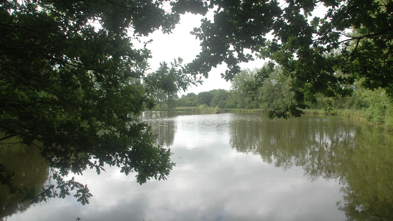 Photo of Others in Saint-Patrice-de-Claids