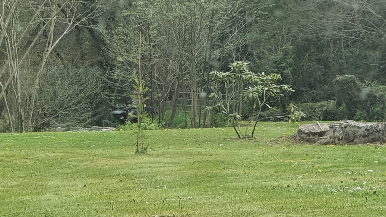 Photo of Others in Louvie Juzon