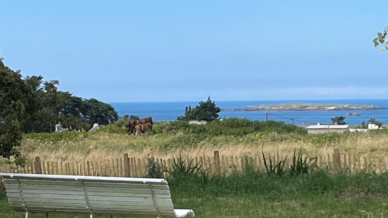 Photo of Outdoor in Saint-Pabu