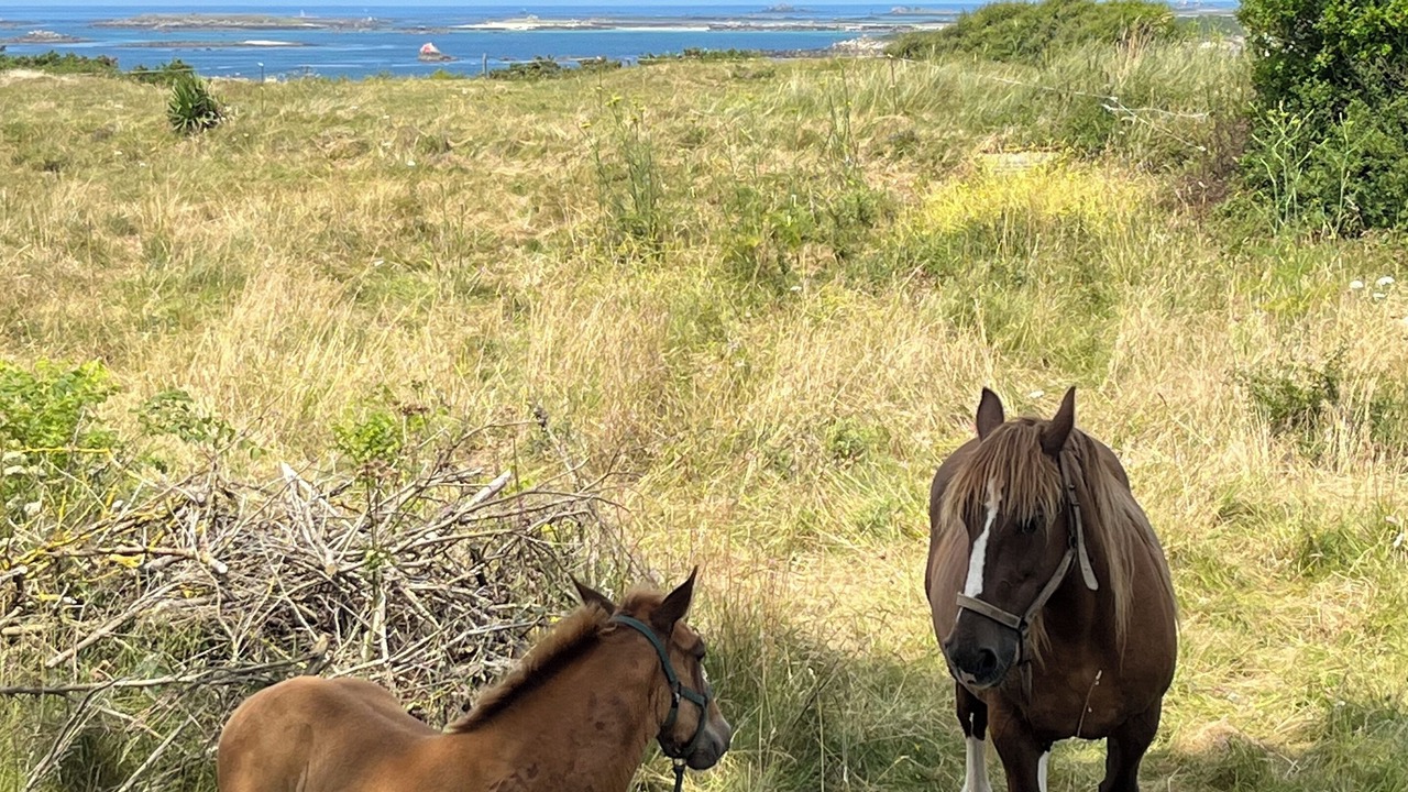 Photo of Outdoor in Saint-Pabu