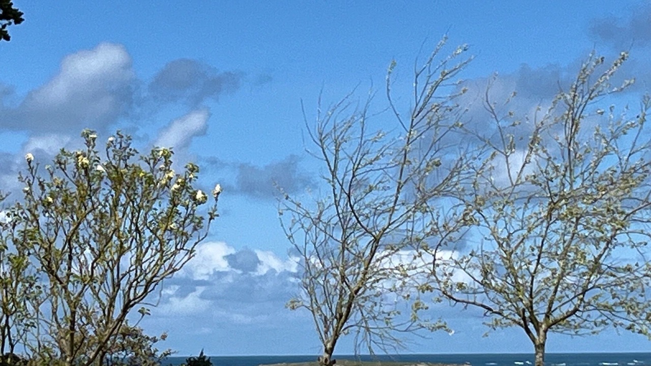 Photo of Others in Saint-Pabu