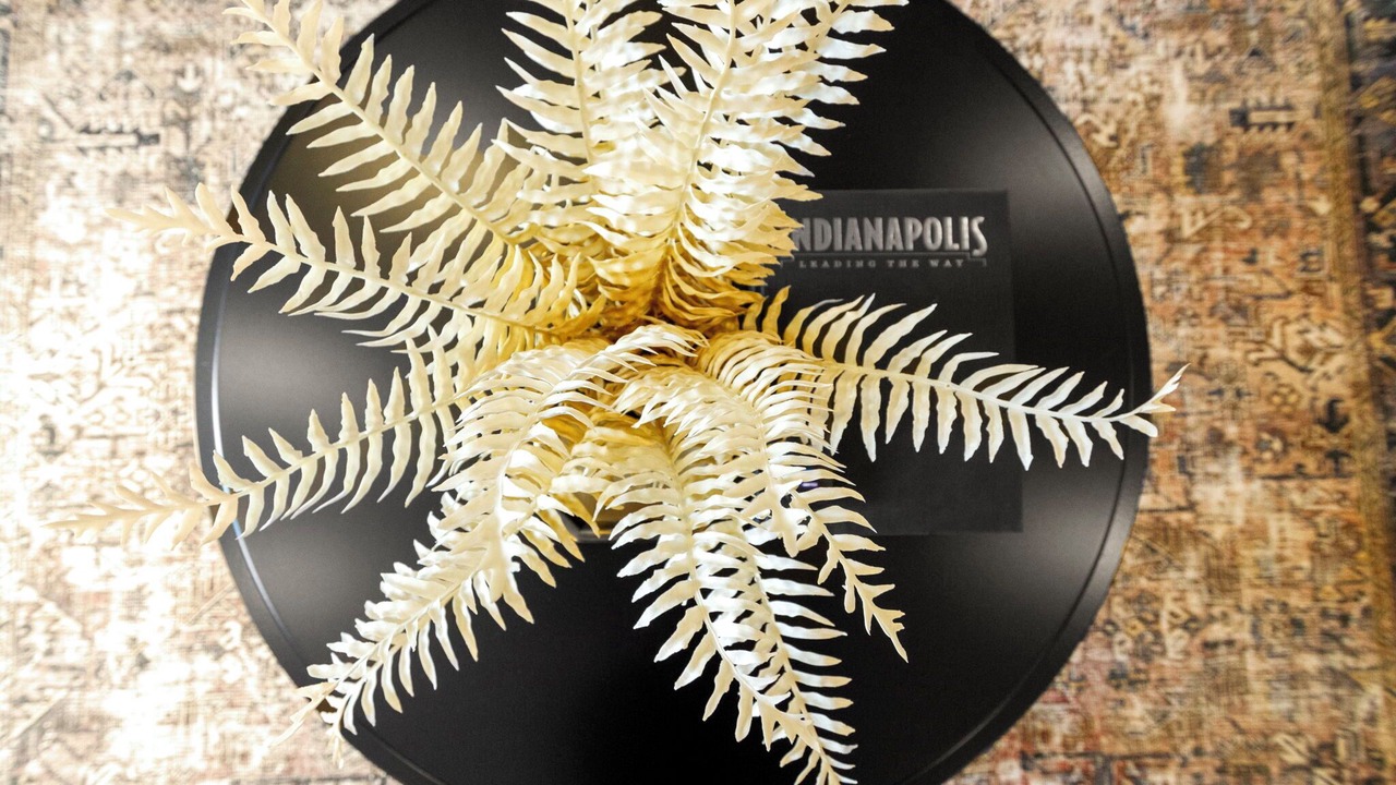 Photo of Others in Fishers