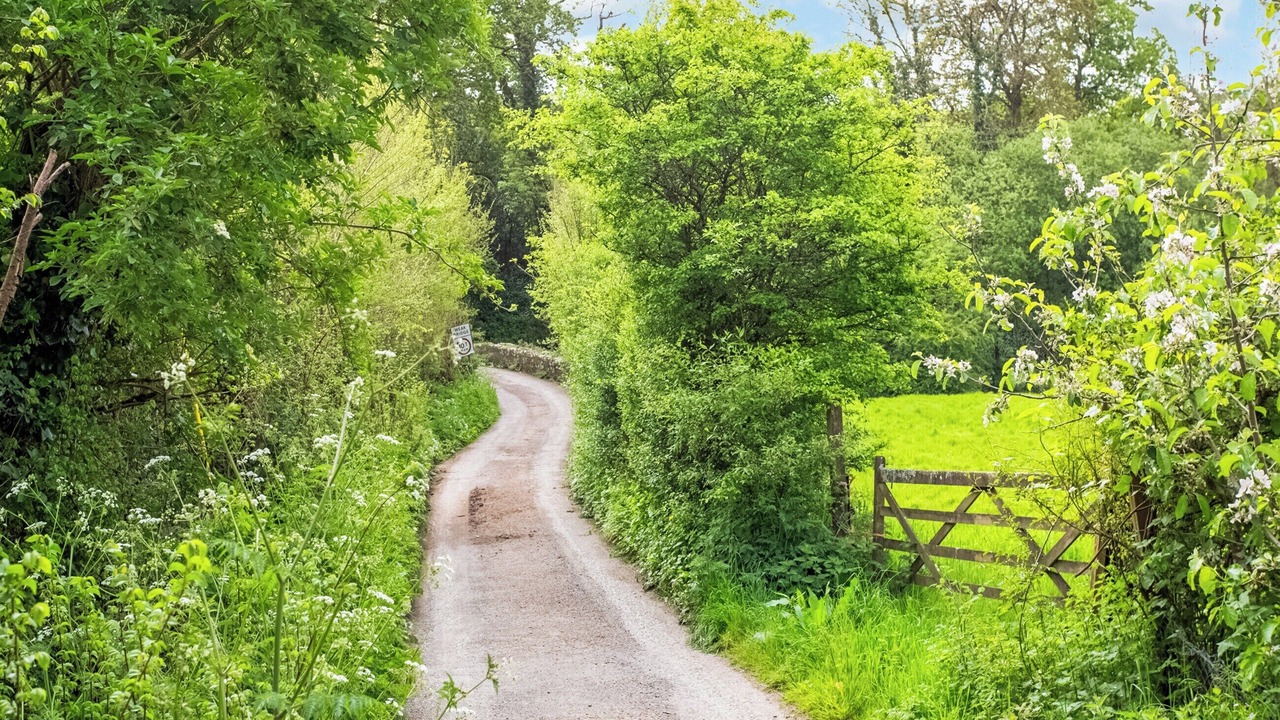 Photo of Others in Trelil