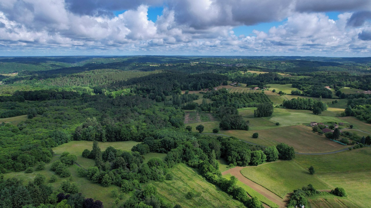 Photo of Outdoor in Loubejac