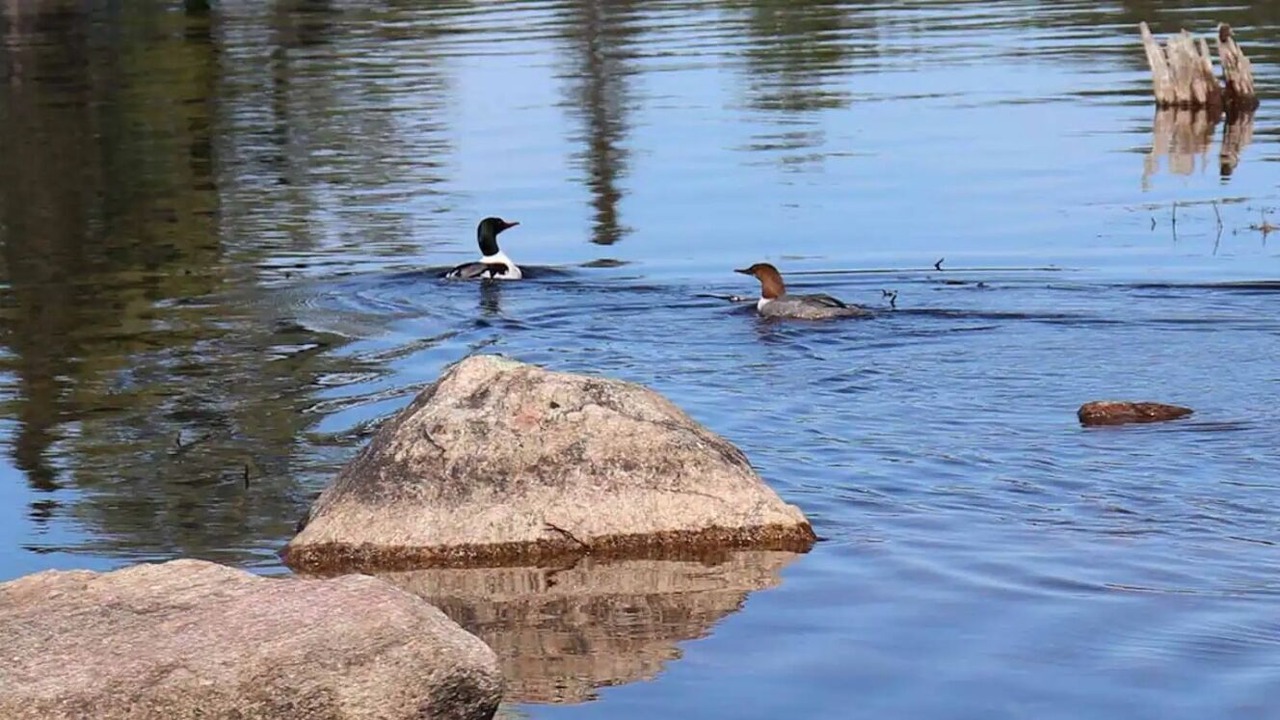 Photo of Others in Hastings Highlands