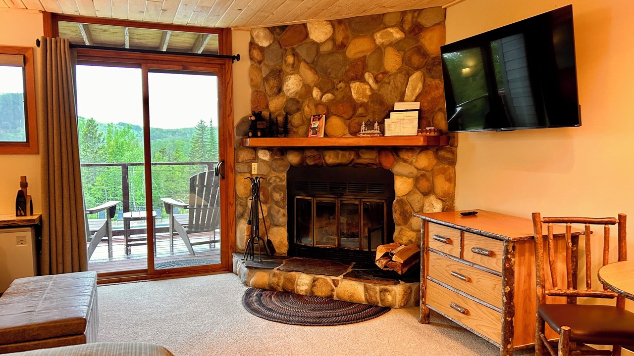 Photo of Livingroom in Lutsen