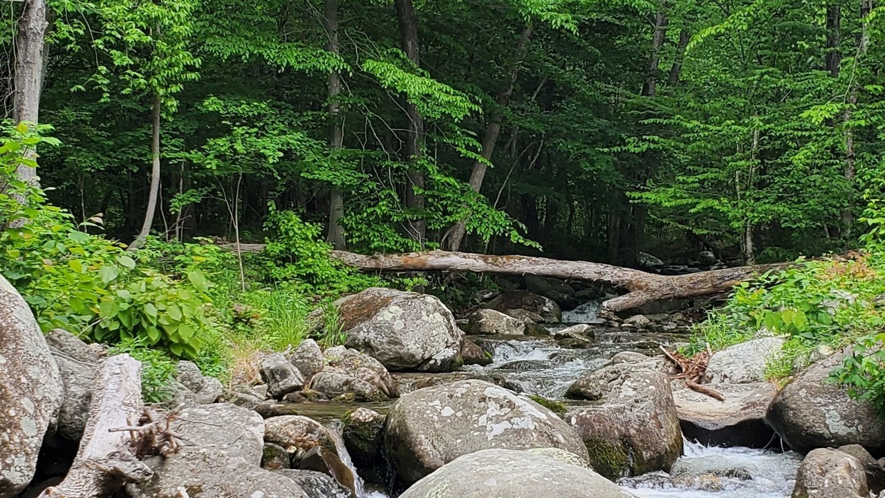 Photo of Outdoor in Peaks