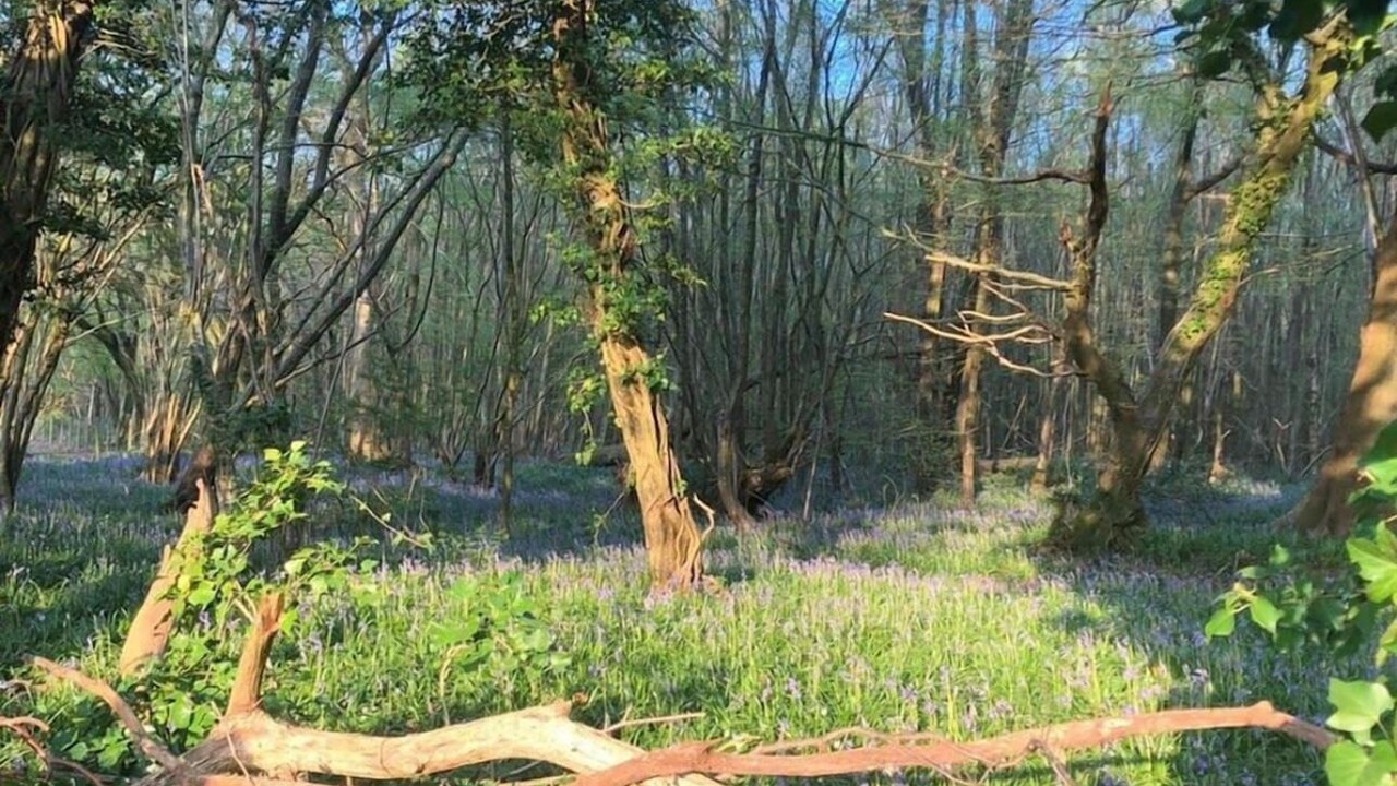 Photo of Outdoor in Etchinghill