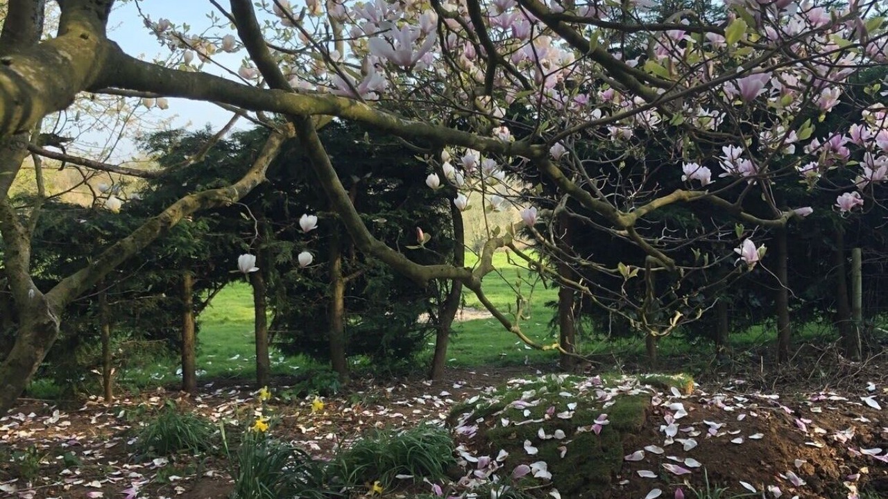 Photo of Outdoor in Etchinghill