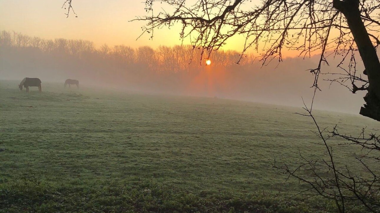 Photo of Others in Etchinghill