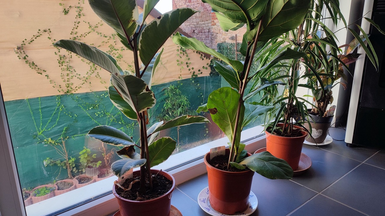 Photo of Others in Weyer