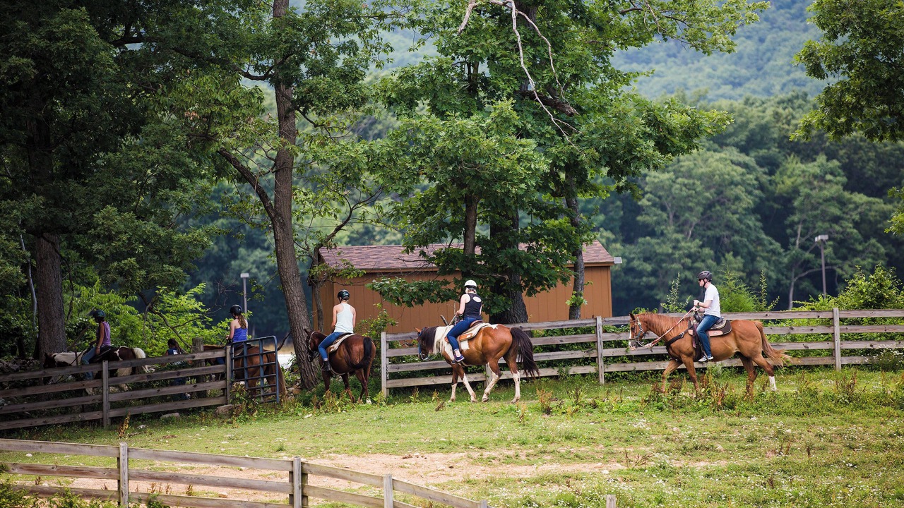 Photo of Others in Massanutten