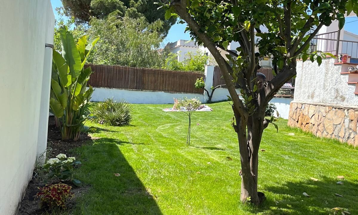Photo of Outdoor in Roses