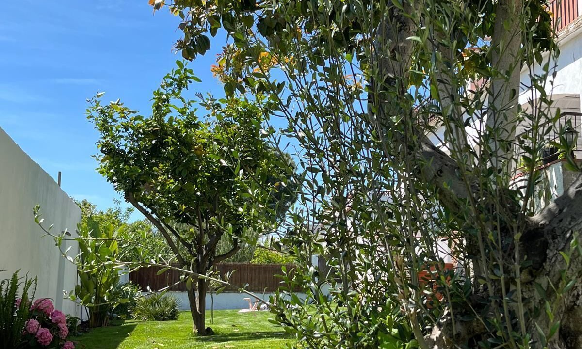 Photo of Outdoor in Roses