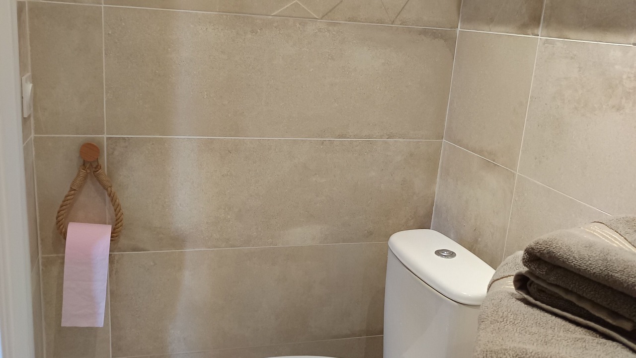 Photo of Bathroom in Les Ageux