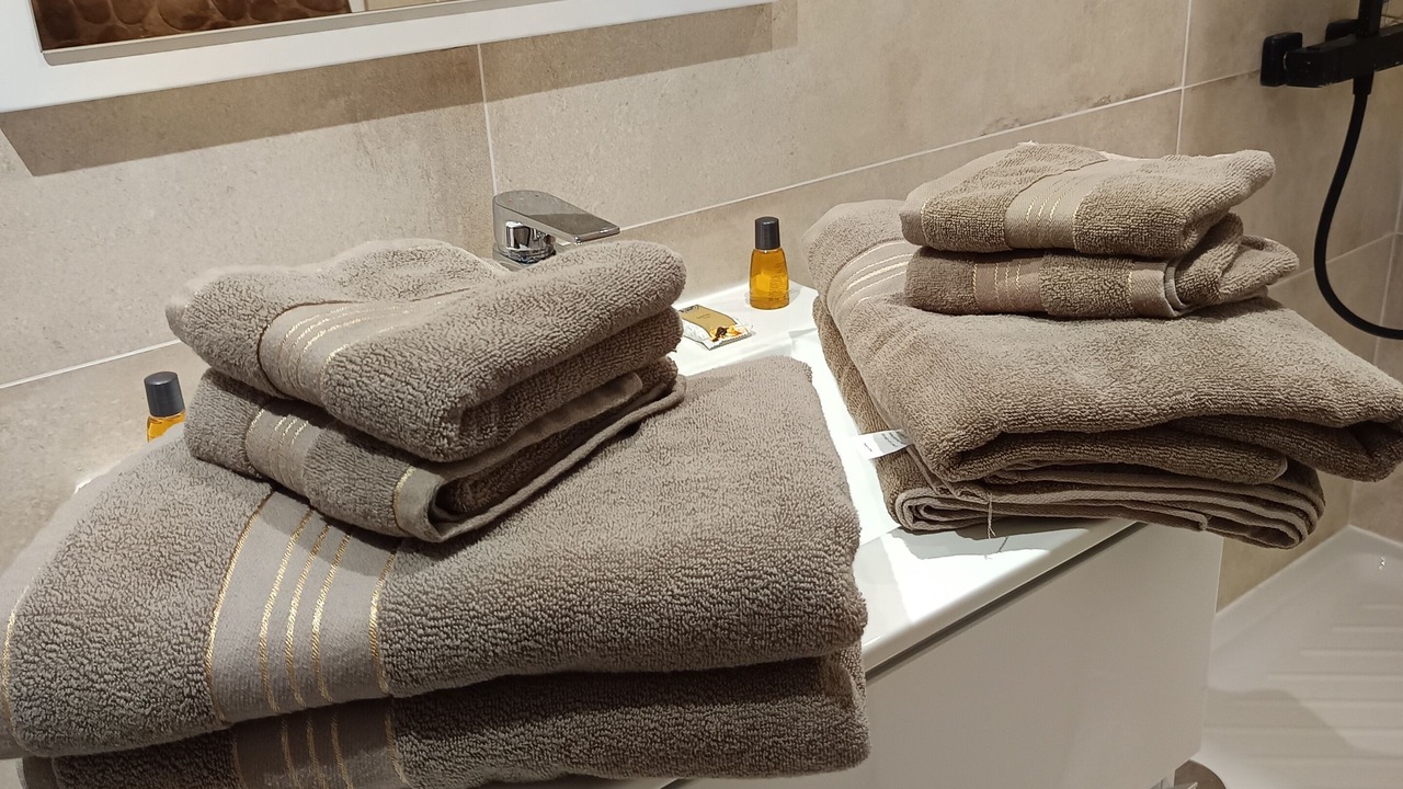 Photo of Bathroom in Les Ageux